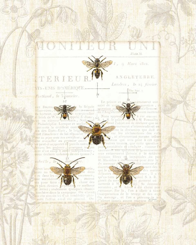 Wall Art Painting id:20971, Name: Bee Botanical, Artist: Schlabach, Sue