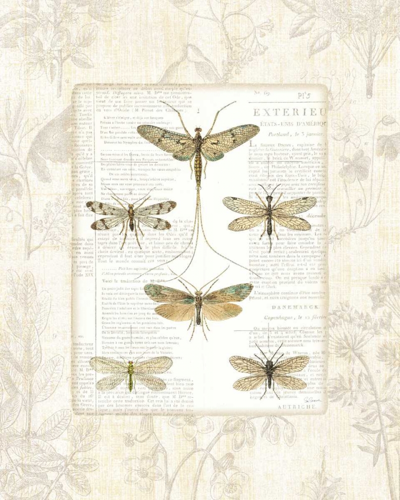 Wall Art Painting id:20972, Name: Dragonfly Botanical, Artist: Schlabach, Sue