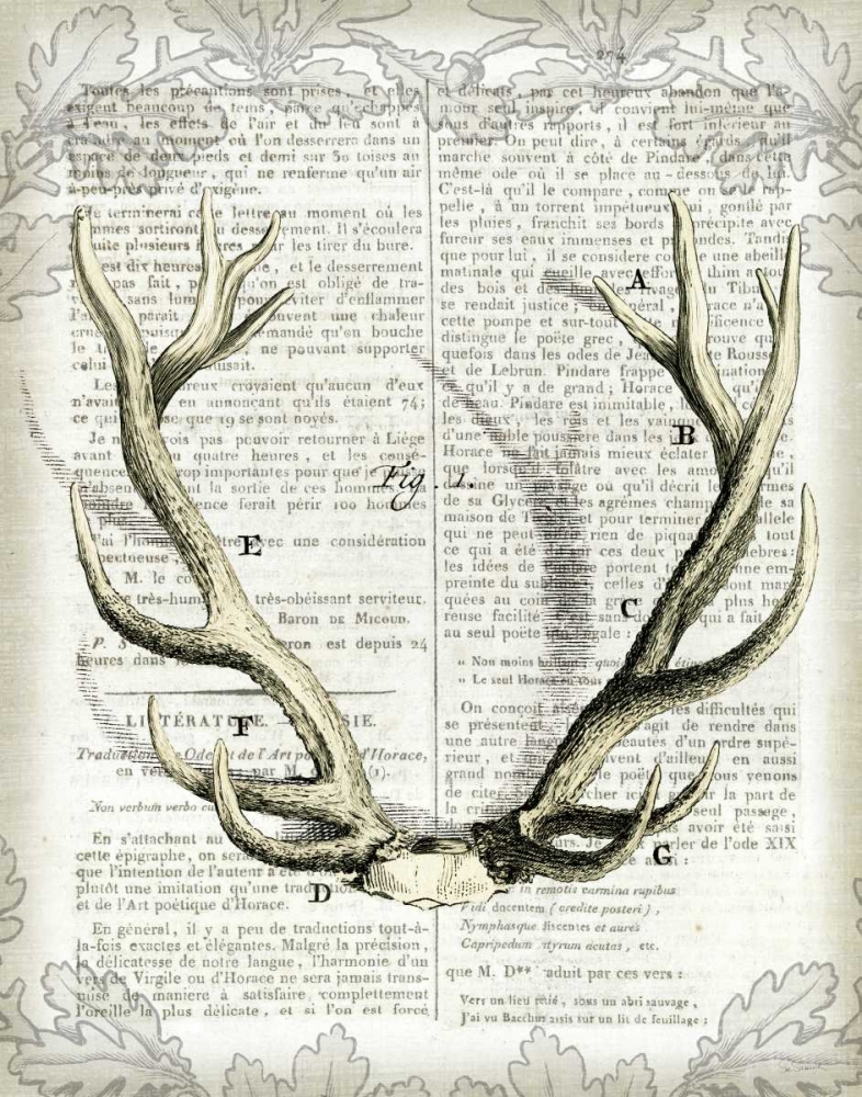 Wall Art Painting id:21992, Name: Regal Antlers on Newsprint I, Artist: Schlabach, Sue