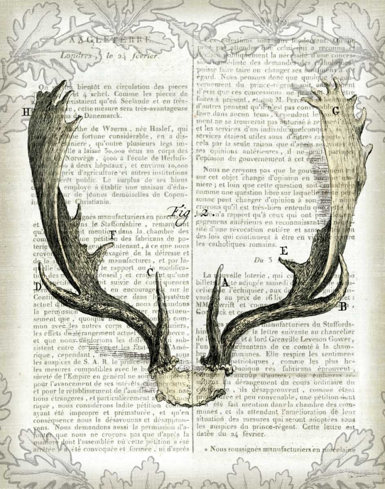 Wall Art Painting id:21993, Name: Regal Antlers on Newsprint II, Artist: Schlabach, Sue