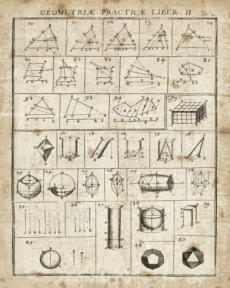 Wall Art Painting id:22000, Name: Geometric Chart II, Artist: Wild Apple Portfolio