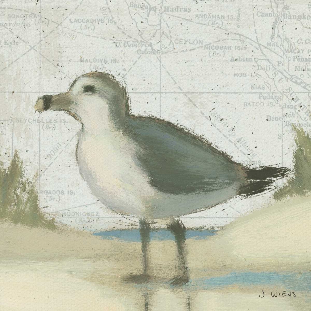 Wall Art Painting id:28575, Name: Beach Bird II, Artist: Wiens, James