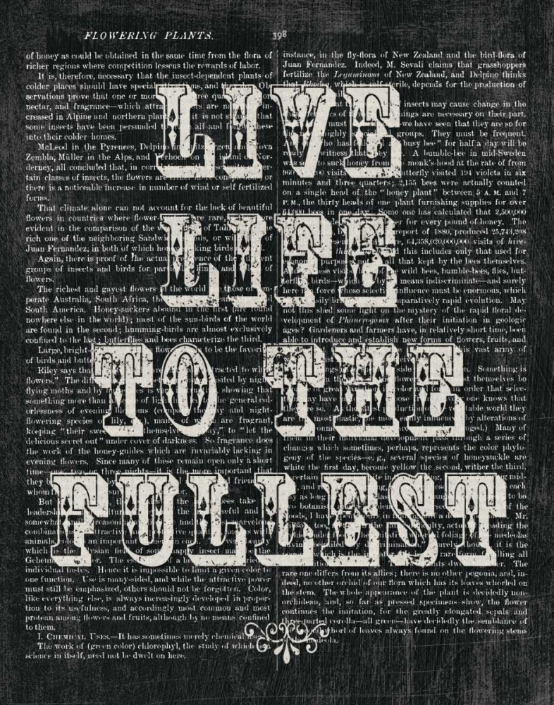 Similar wall art painting: 32566