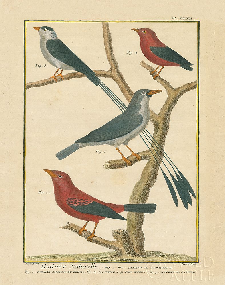 Wall Art Painting id:246925, Name: Bird Drawing III, Artist: Wild Apple Portfolio