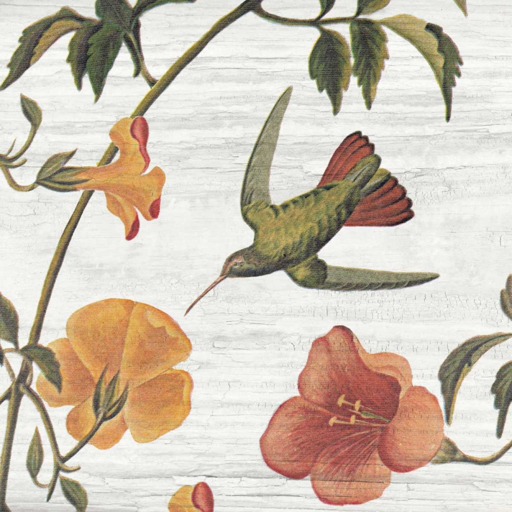 Wall Art Painting id:41145, Name: Vintage Hummingbird I, Artist: Wild Apple Portfolio