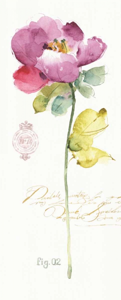 Art Print: Rainbow Seeds Loose Floral II