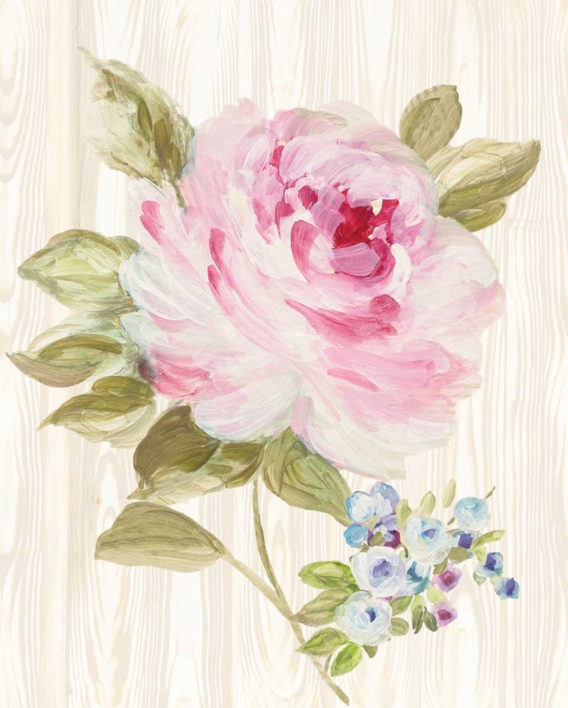 Art Print: Driftwood Garden V