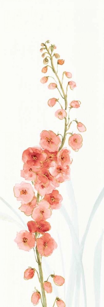 Art Print: Rainbow Seeds Flowers VII Coral