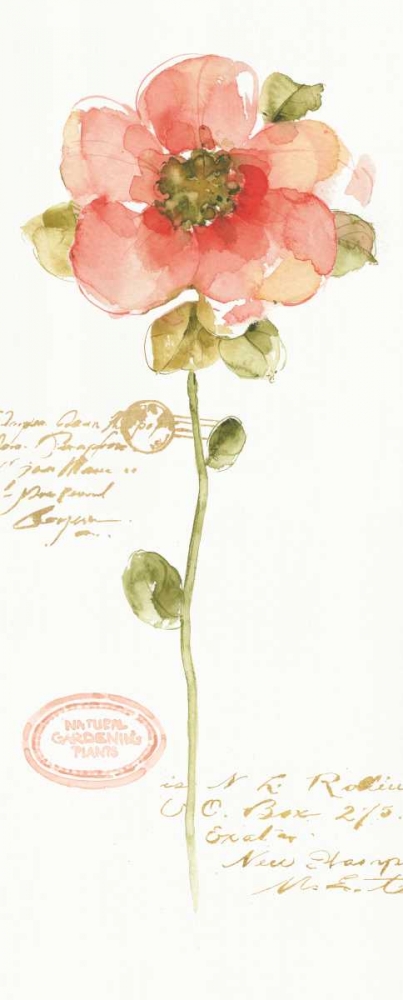 Art Print: Rainbow Seeds Loose Floral IV