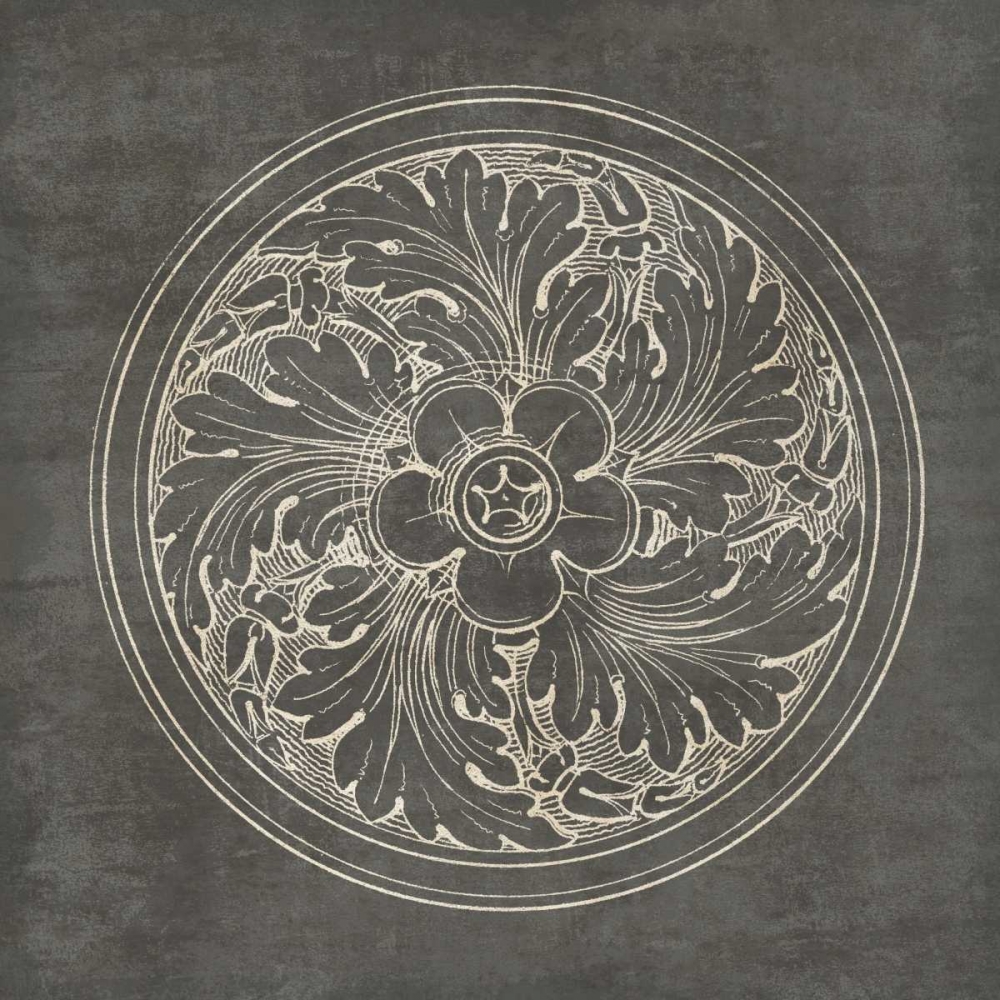 Wall Art Painting id:77897, Name: Rosette II Gray, Artist: Wild Apple Portfolio