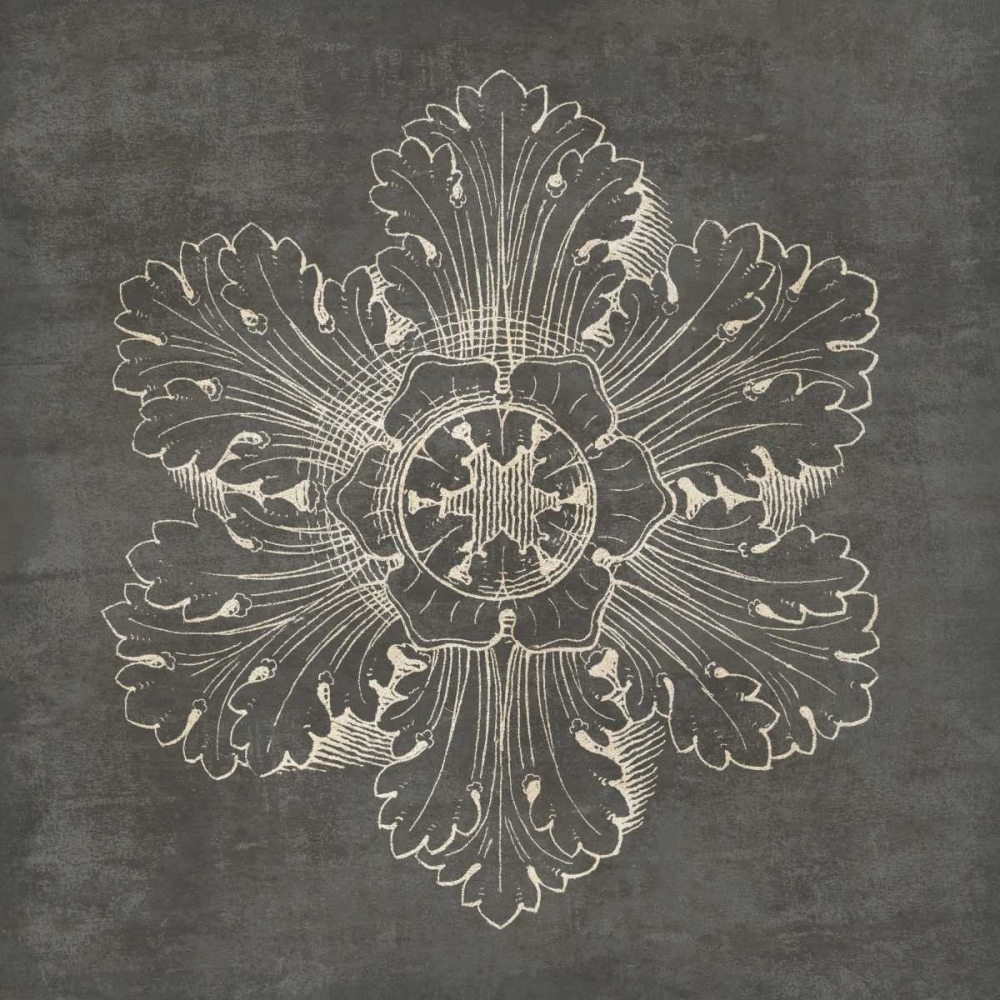 Wall Art Painting id:77900, Name: Rosette V Gray, Artist: Wild Apple Portfolio