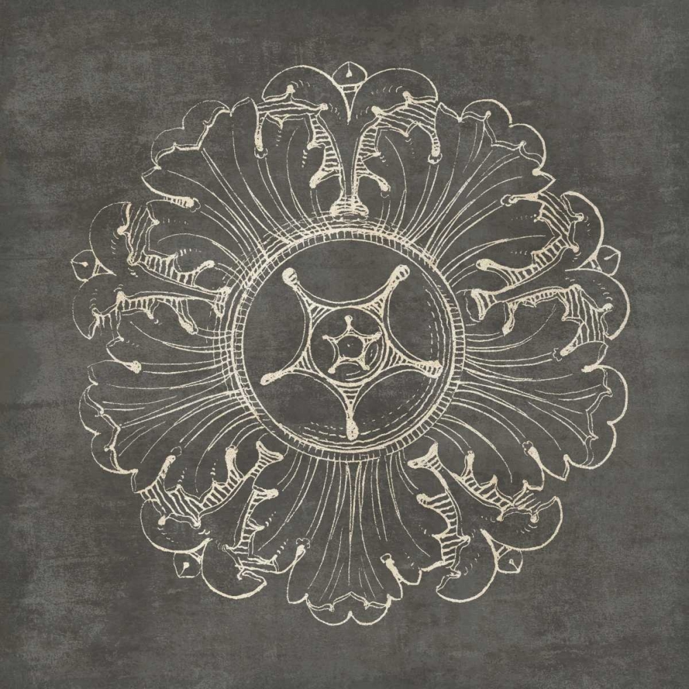 Wall Art Painting id:77901, Name: Rosette VI Gray, Artist: Wild Apple Portfolio