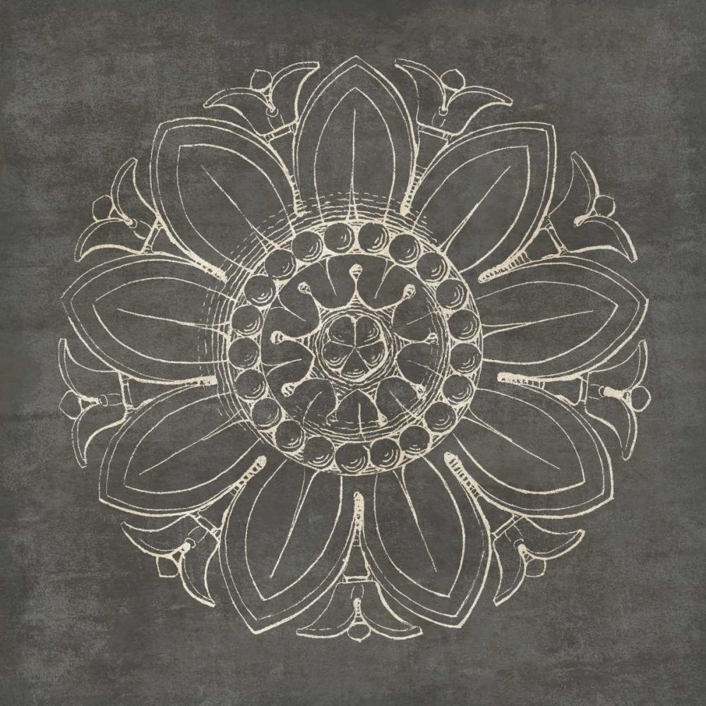 Wall Art Painting id:77902, Name: Rosette VII Gray, Artist: Wild Apple Portfolio