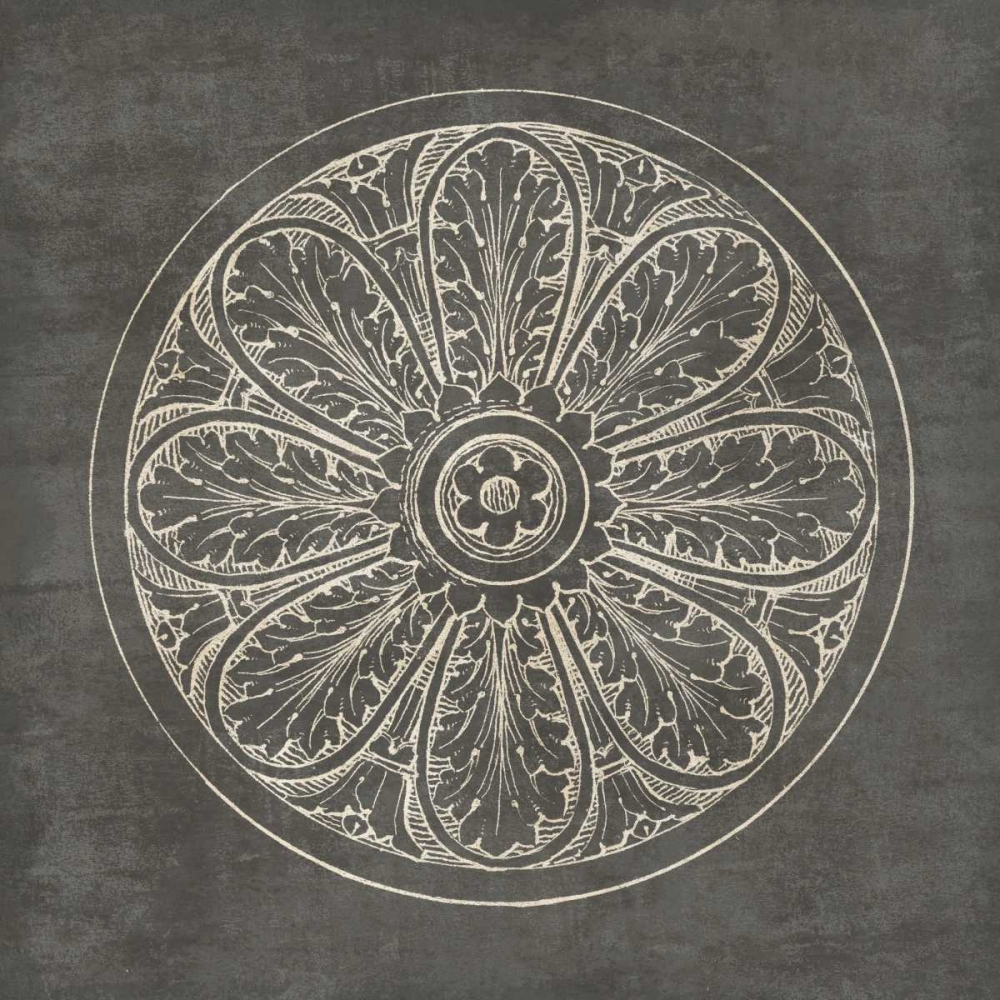 Wall Art Painting id:77903, Name: Rosette VIII Gray, Artist: Wild Apple Portfolio