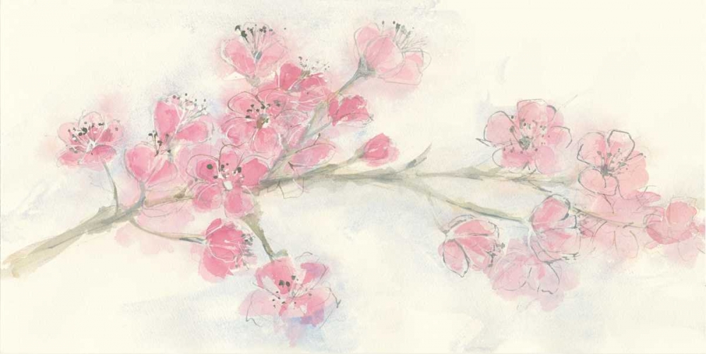 Wall Art Painting id:78346, Name: Cherry Blossom I, Artist: Paschke, Chris