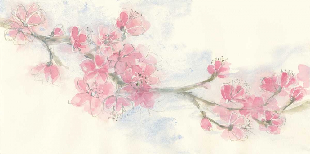Wall Art Painting id:78345, Name: Cherry Blossom II, Artist: Paschke, Chris