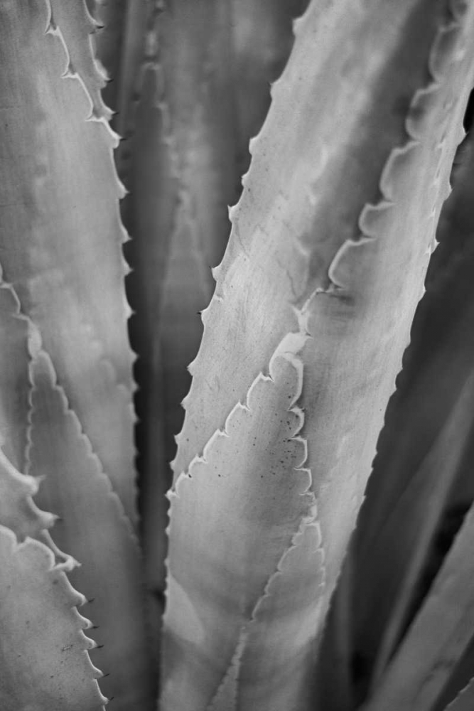 Similar wall art painting: 80749