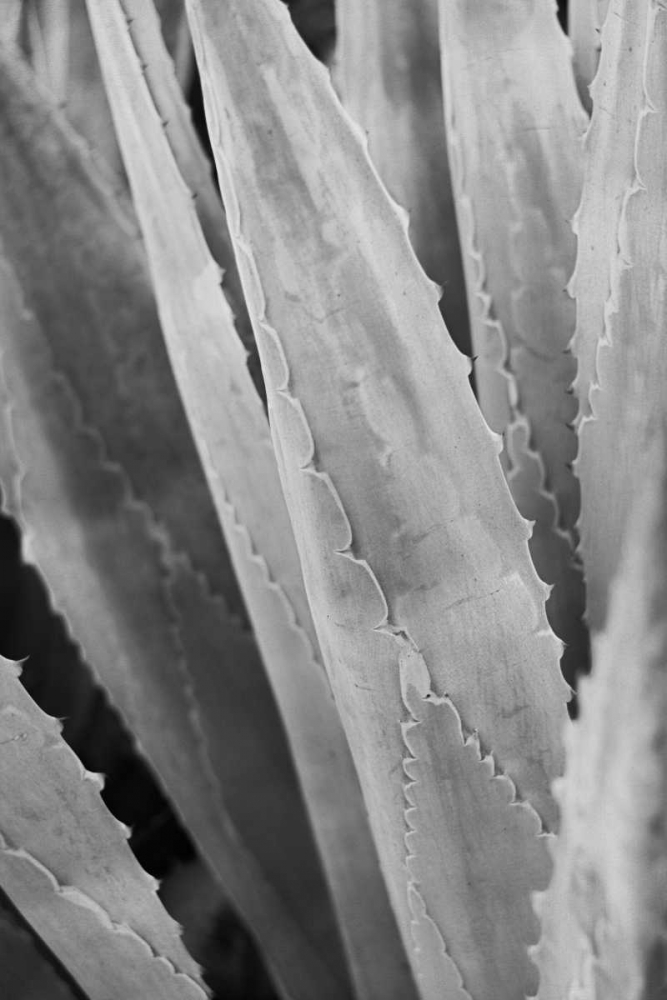 Similar wall art painting: 80752