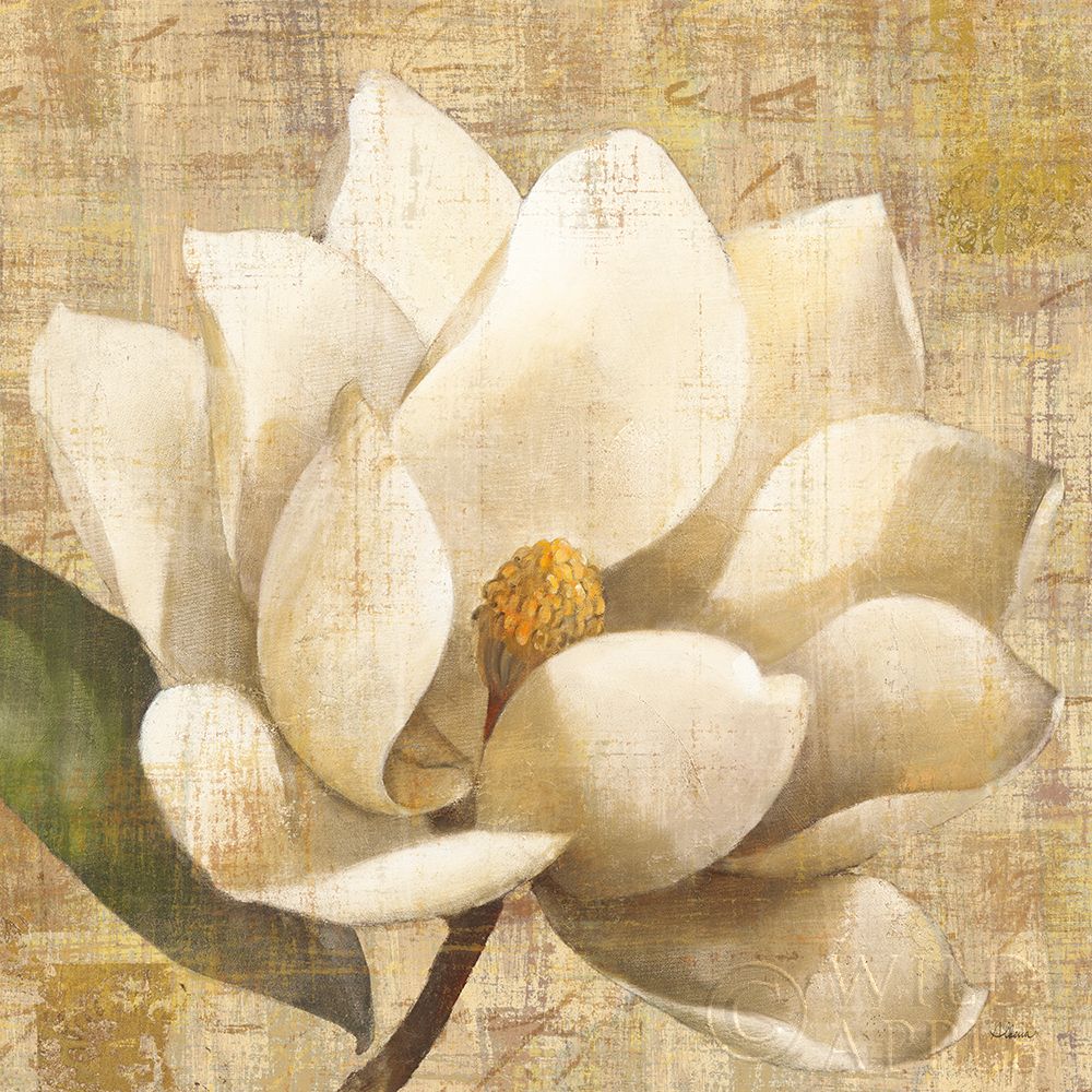 Wall Art Painting id:377910, Name: Magnolia Blossom on Script, Artist: Hristova, Albena