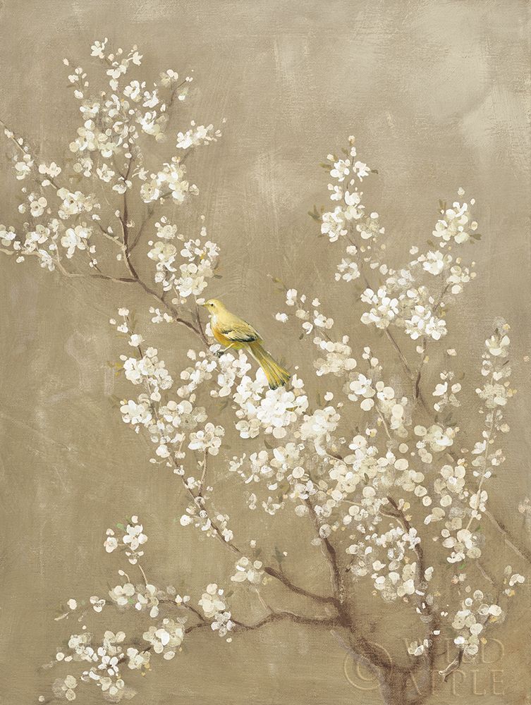 Wall Art Painting id:192927, Name: White Cherry Blossom II Neutral Crop Bird, Artist: Nai, Danhui