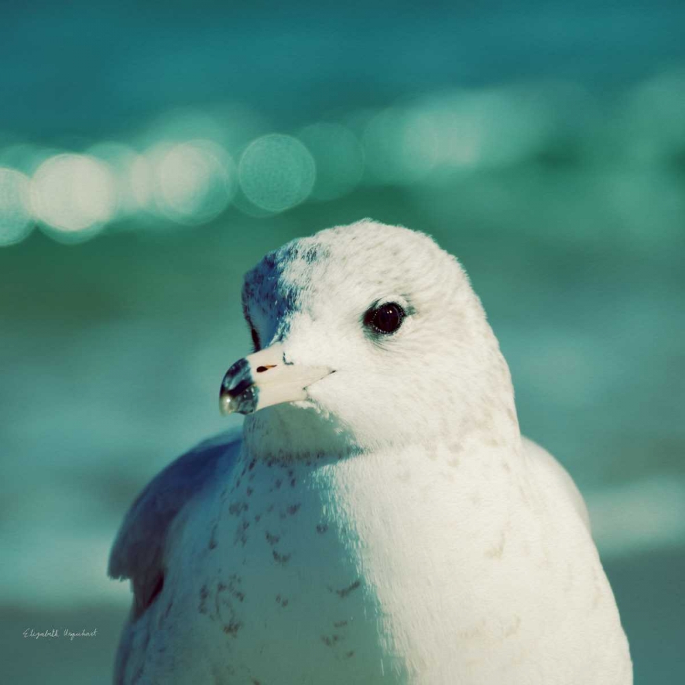 Similar wall art painting: 93409