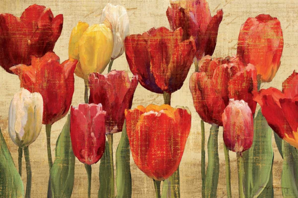 Art Print: Tulip Fantasy on Cream