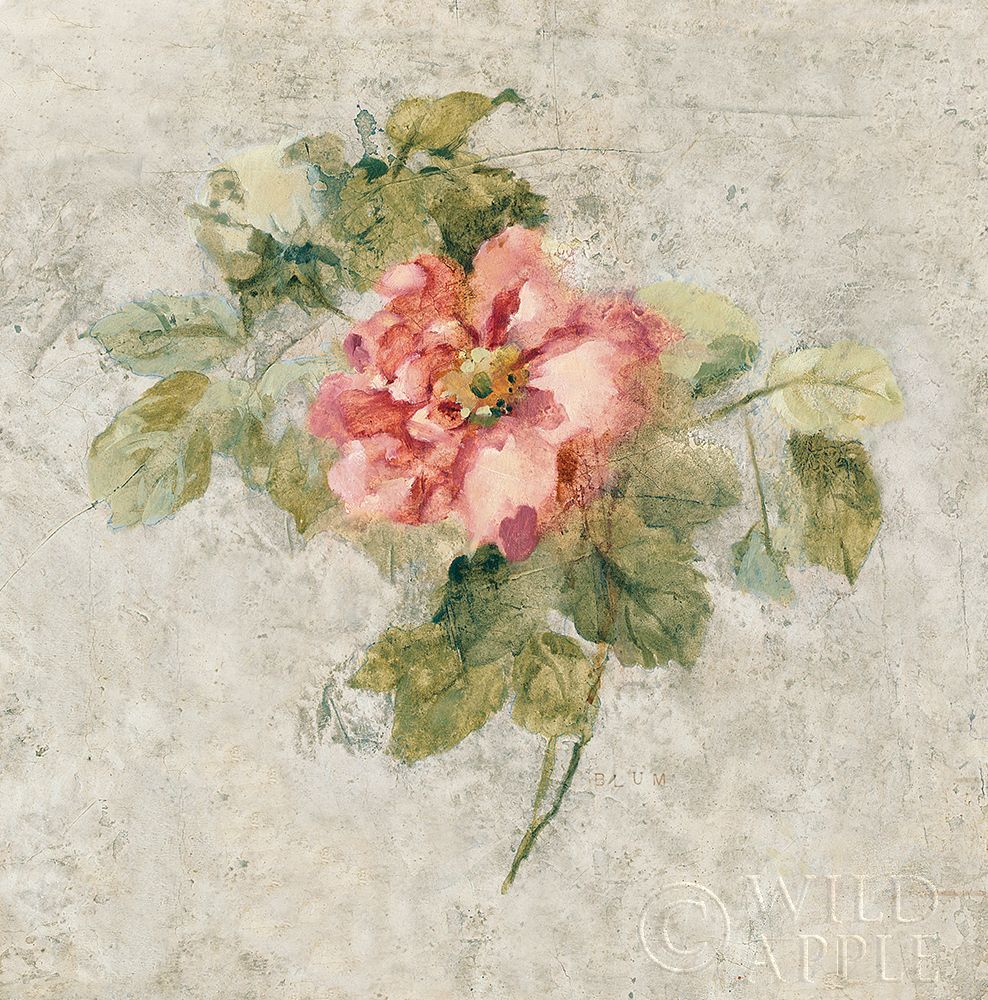 Wall Art Painting id:192974, Name: Provence Rose II Red and Neutral, Artist: Blum, Cheri