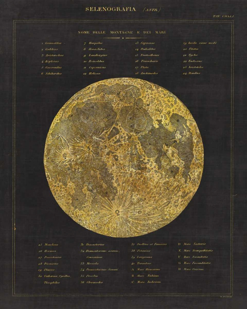 Wall Art Painting id:99571, Name: Astronomical Chart I, Artist: Wild Apple Portfolio