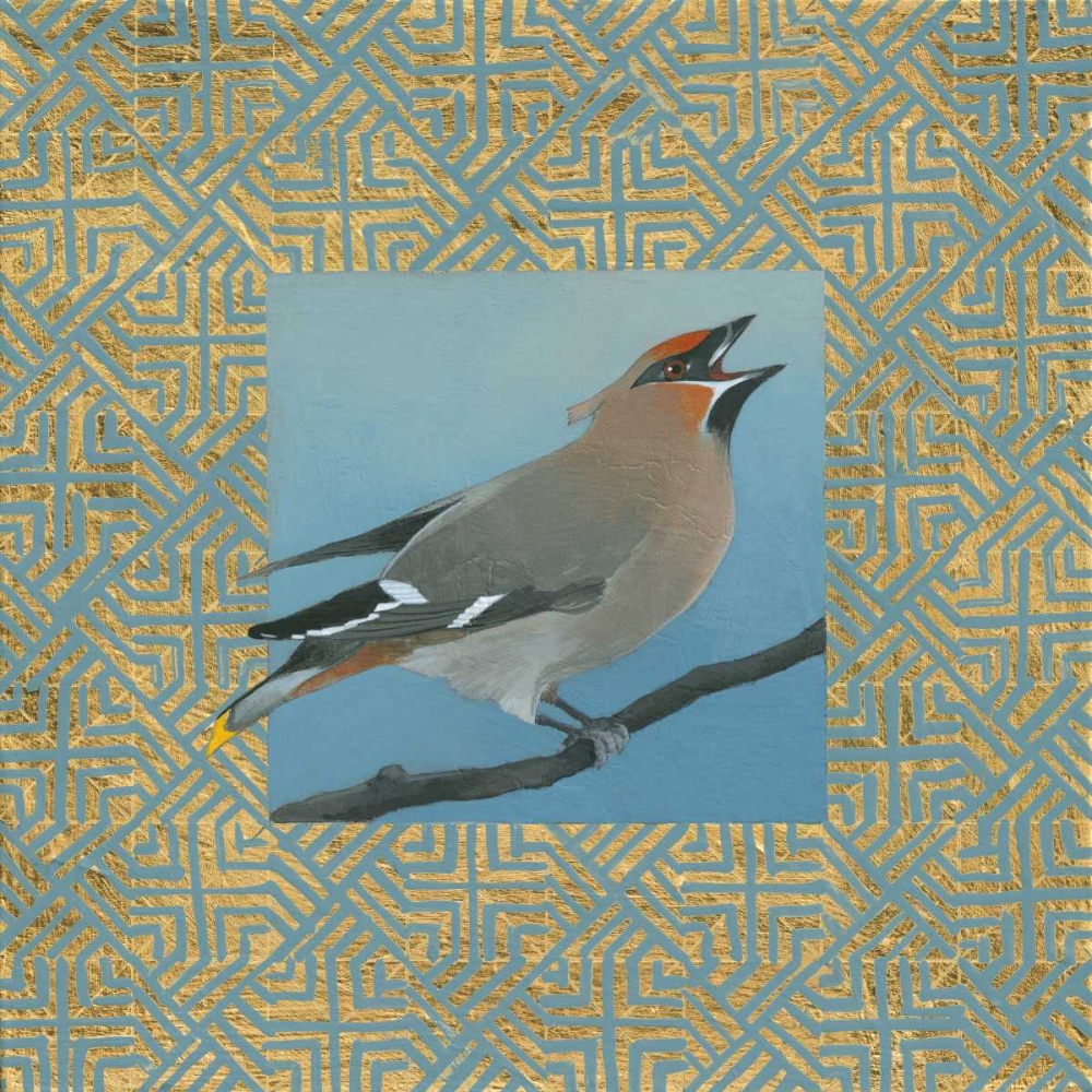 Wall Art Painting id:105479, Name: Cedar Waxwing Border, Artist: Lovell, Kathrine