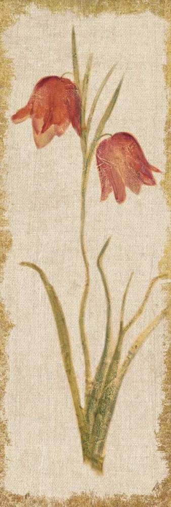 Wall Art Painting id:156299, Name: Red Tulip Panel on White Vintage, Artist: Blum, Cheri