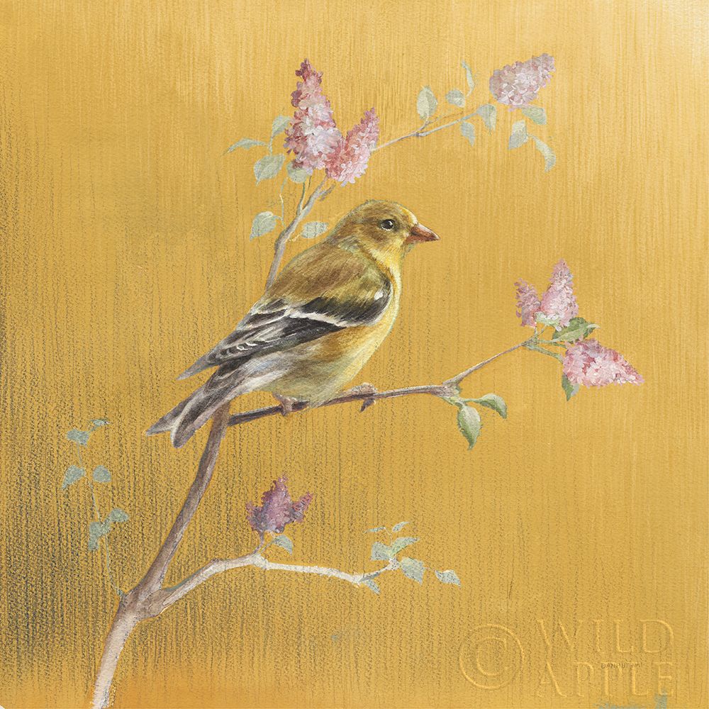 Wall Art Painting id:410249, Name: Female Goldfinch on Gold, Artist: Nai, Danhui