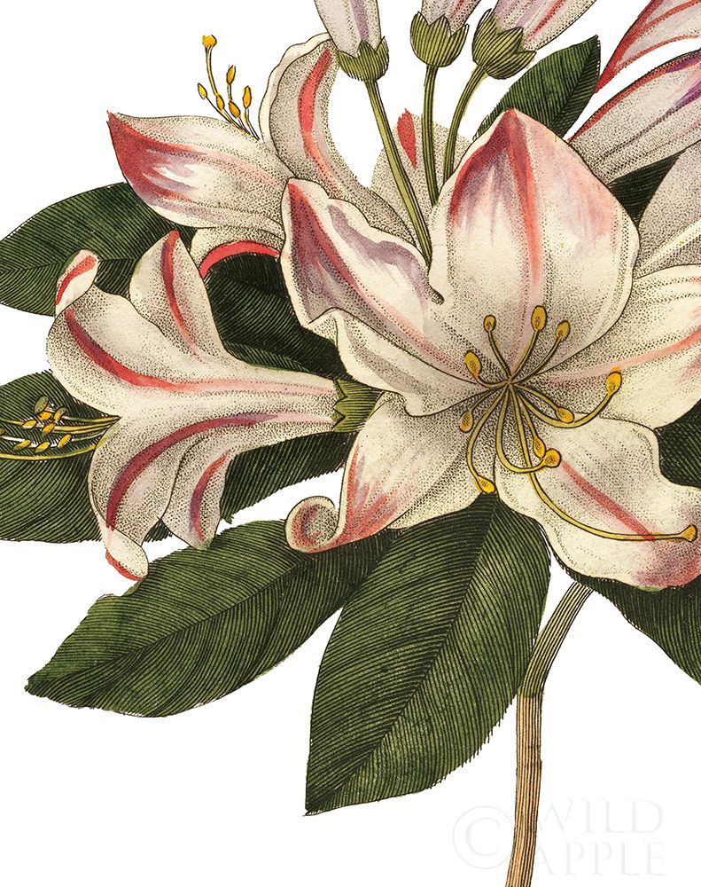 Similar wall art painting: 192997