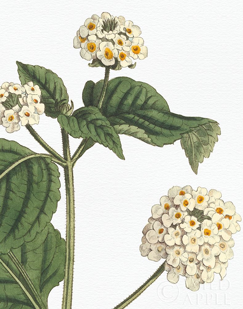 Similar wall art painting: 192998