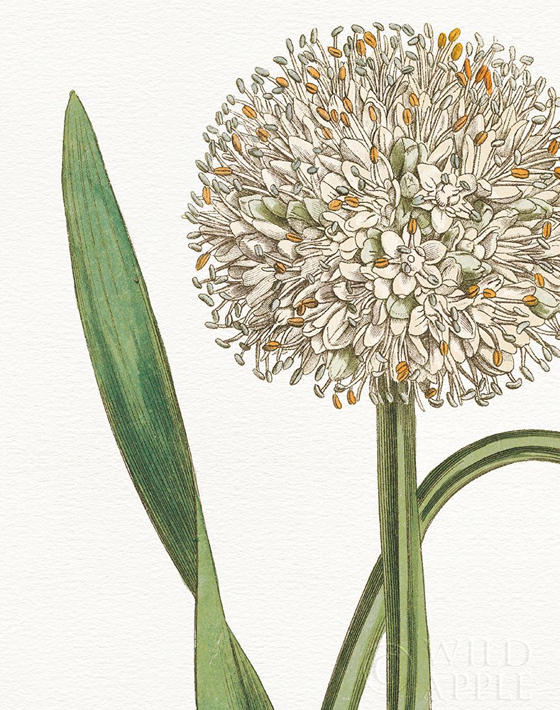 Similar wall art painting: 192999