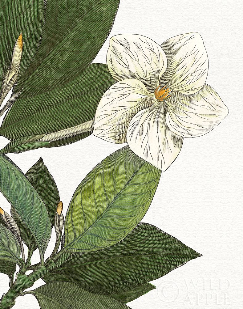 Similar wall art painting: 193000