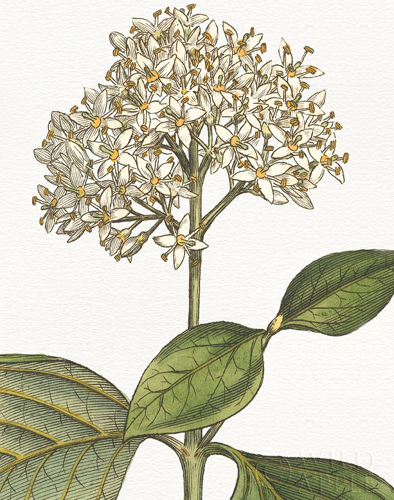 Similar wall art painting: 193001