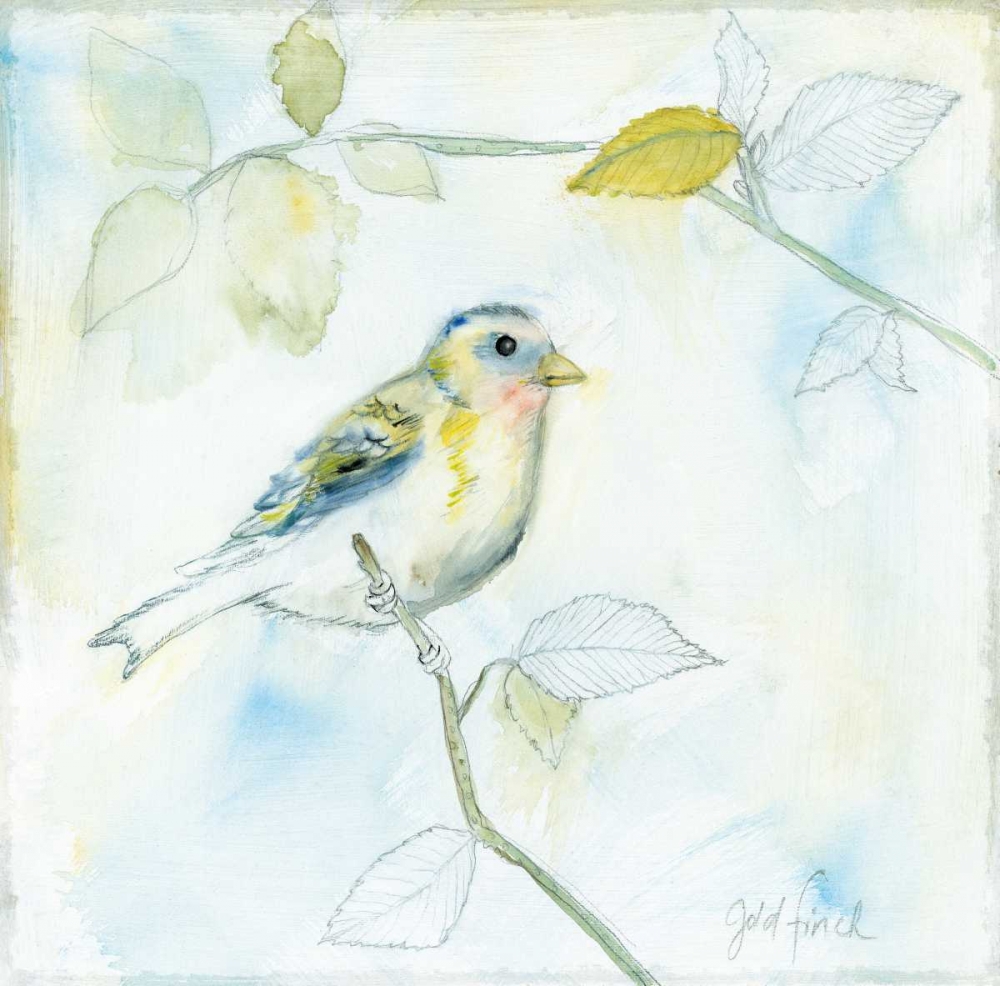 Wall Art Painting id:157854, Name: Sketched Songbird I, Artist: Schlabach, Sue