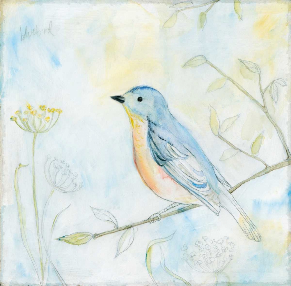 Wall Art Painting id:157855, Name: Sketched Songbird II, Artist: Schlabach, Sue