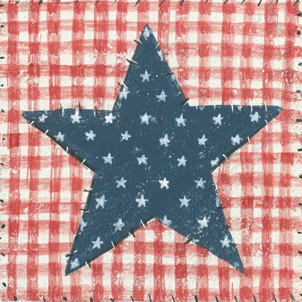 Wall Art Painting id:137607, Name: Americana Quilt II, Artist: Brown, David Carter