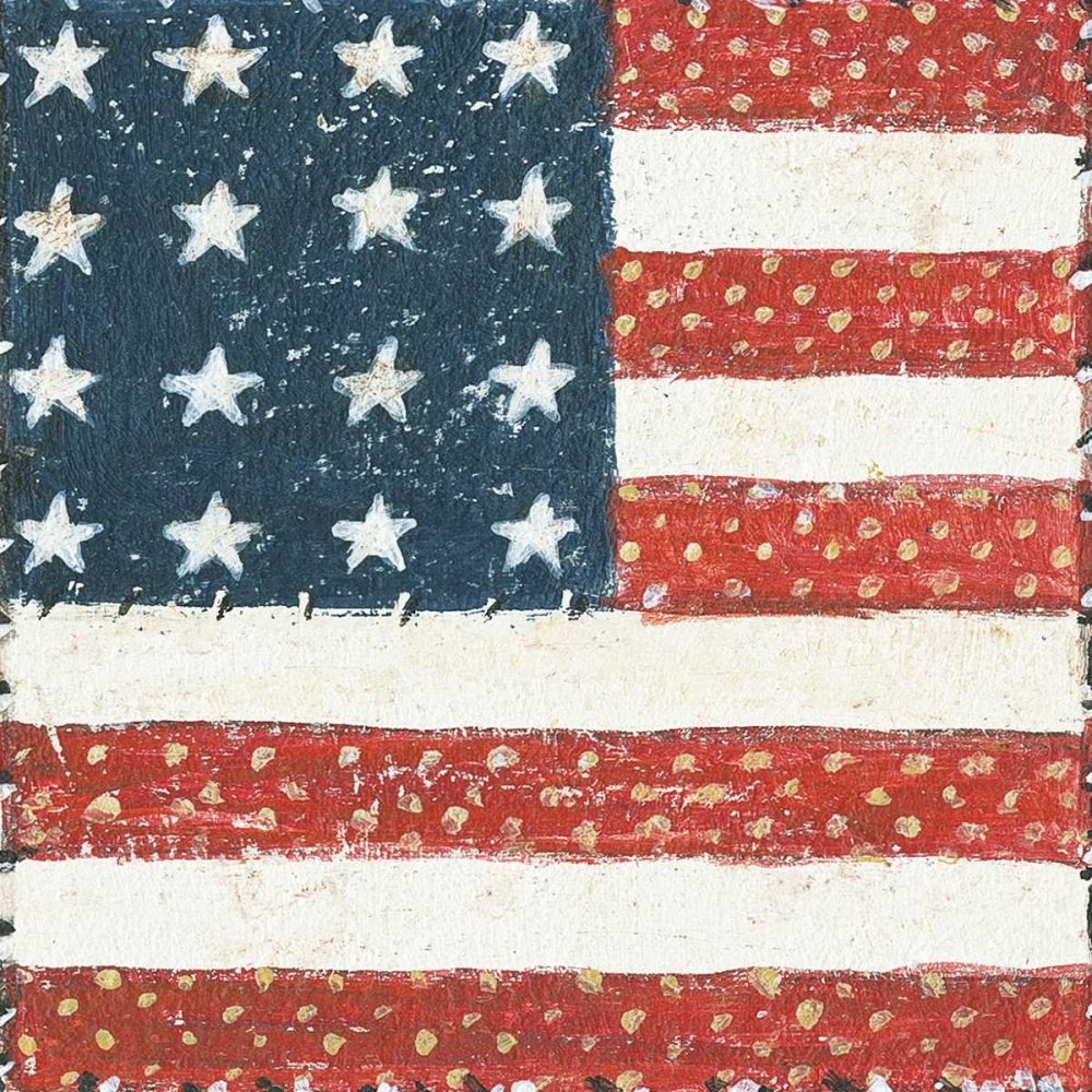 Wall Art Painting id:137609, Name: Americana Quilt IV, Artist: Brown, David Carter