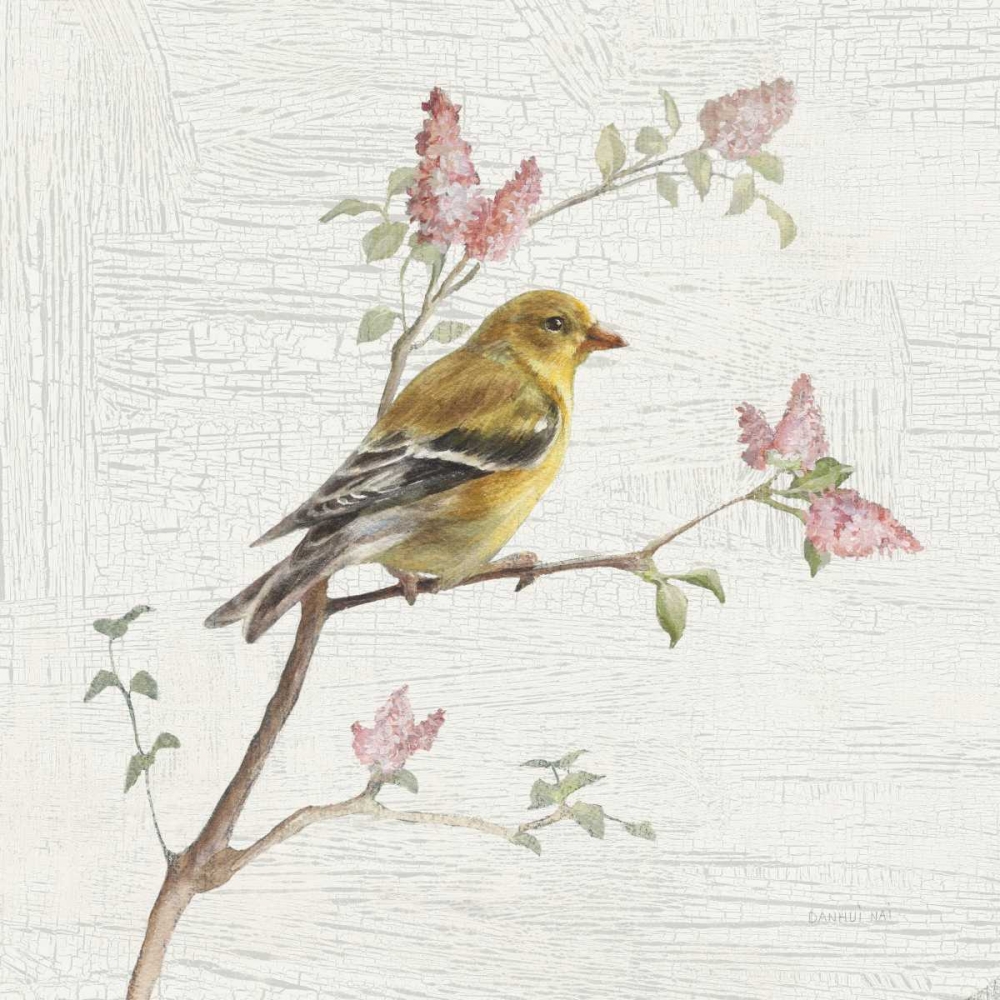 Art Print: Female Goldfinch Vintage