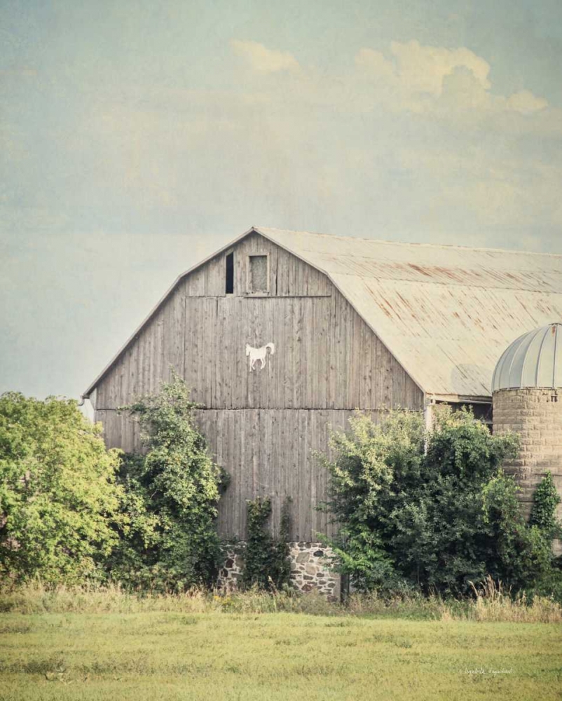 Wall Art Painting id:157681, Name: Late Summer Barn II Crop, Artist: Urquhart, Elizabeth