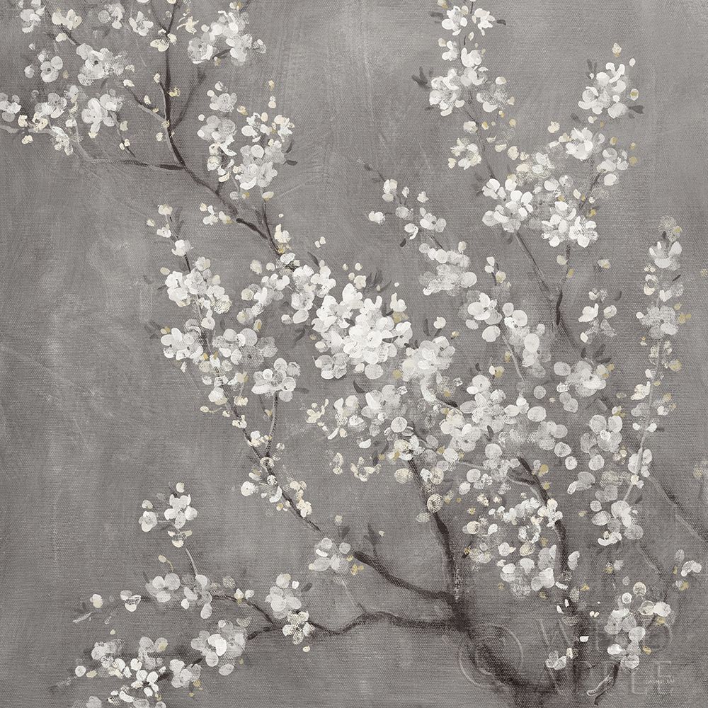 Wall Art Painting id:298519, Name: White Cherry Blossoms II on Grey Crop, Artist: Nai, Danhui
