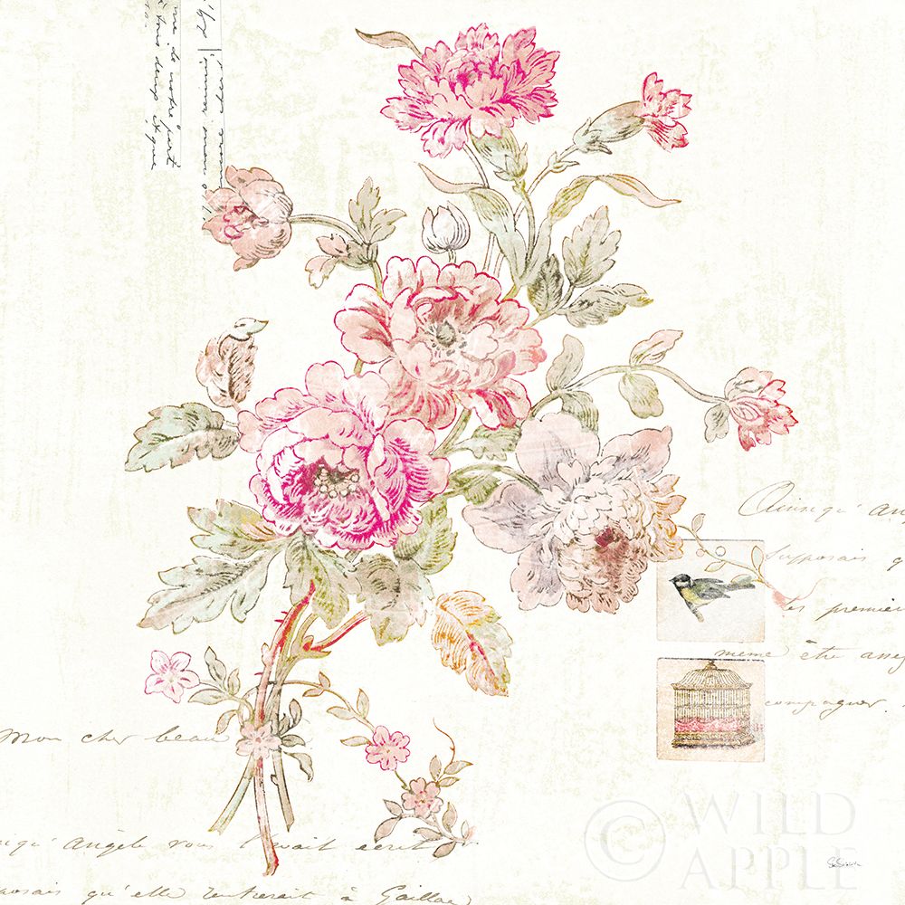 Wall Art Painting id:252587, Name: Cottage Roses II, Artist: Schlabach, Sue