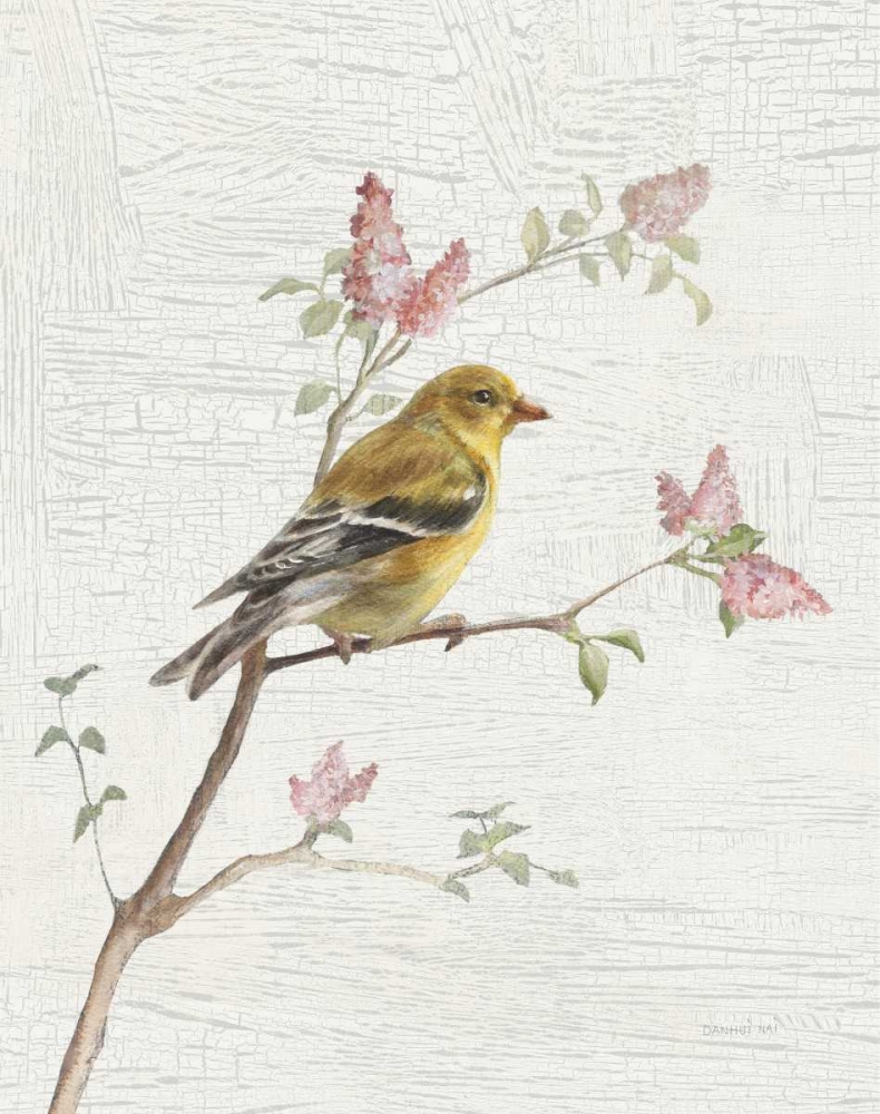 Wall Art Painting id:175089, Name: Female Goldfinch Vintage v2, Artist: Nai, Danhui