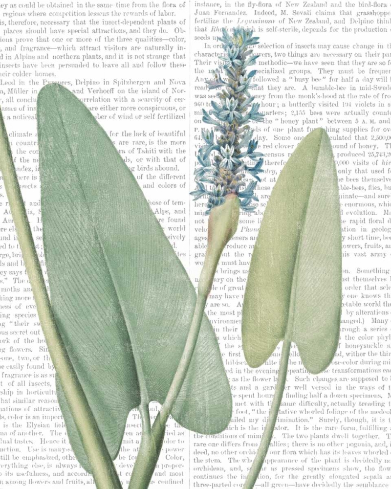 Similar wall art painting: 166853