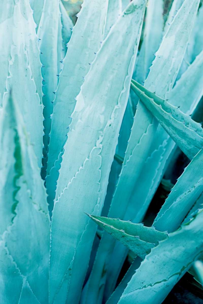 Similar wall art painting: 166834