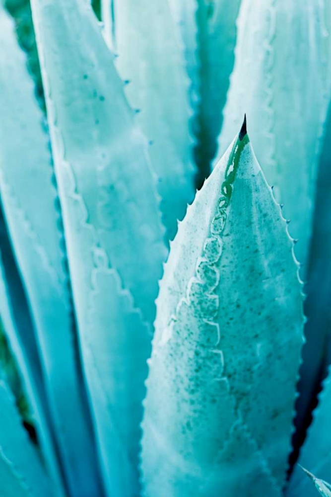 Similar wall art painting: 166833