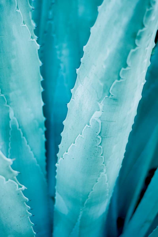 Similar wall art painting: 166831