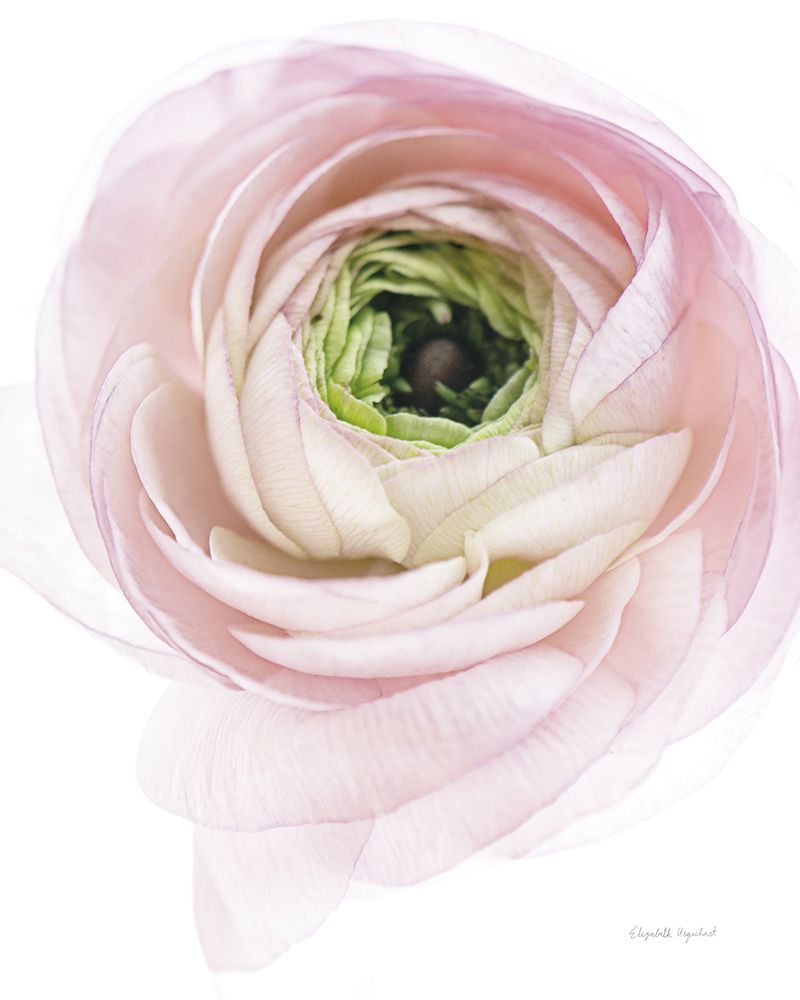 Similar wall art painting: 599234